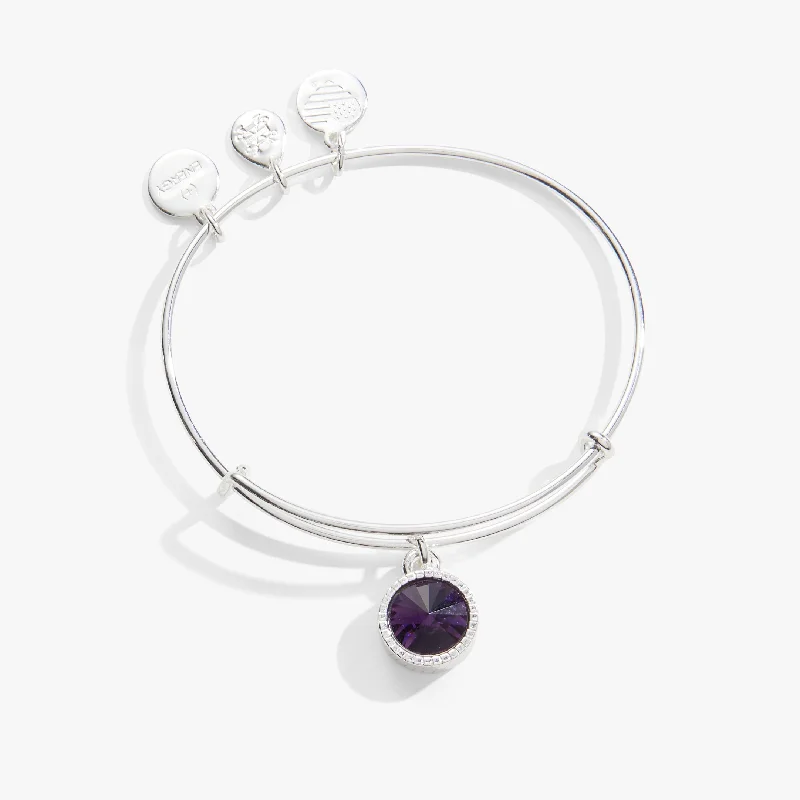 February Birthstone Charm Bangle, Amethyst